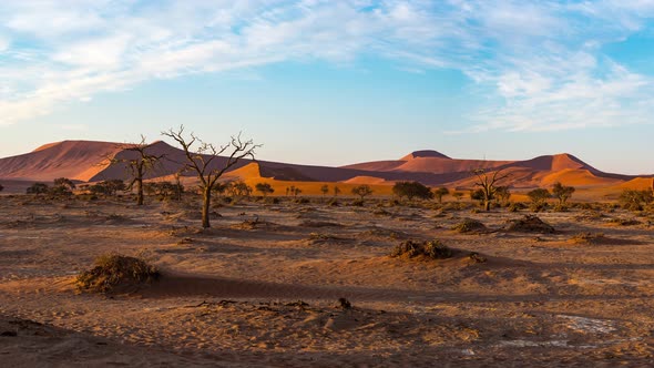 Panorama on colorful sand dunes and scenic landscape in the Namib desert, Namibia, Africa