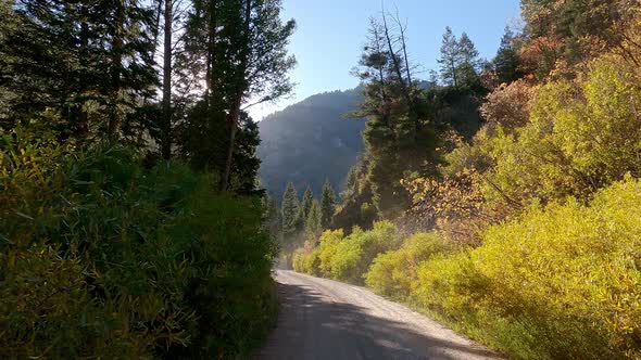 Driving on dirt road through canyon in Wyoming during Fall