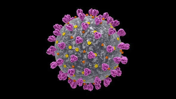 Coronavirus Covid 19 Cell V5 alt