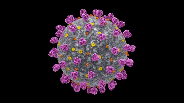 Coronavirus Covid 19 Cell V5