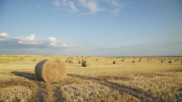 Light Viewing of Horizon with Bright Clear Sky and Haystacks on Field in Summer