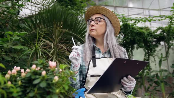 Serious Confident Female Pensioner Sitting on Concrete Parapet in Greenhouse