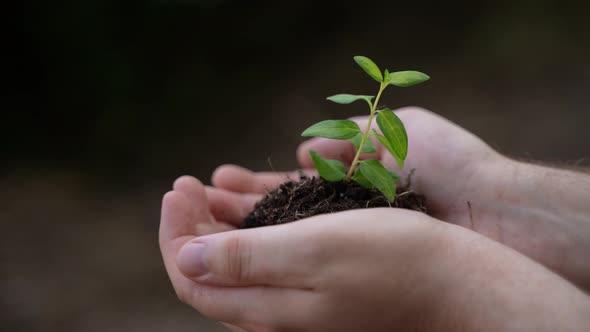 Save the Earth 85 alt