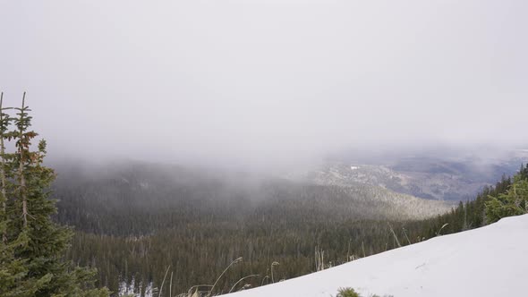 Timelapse of a winter storm passing over a large forest valley