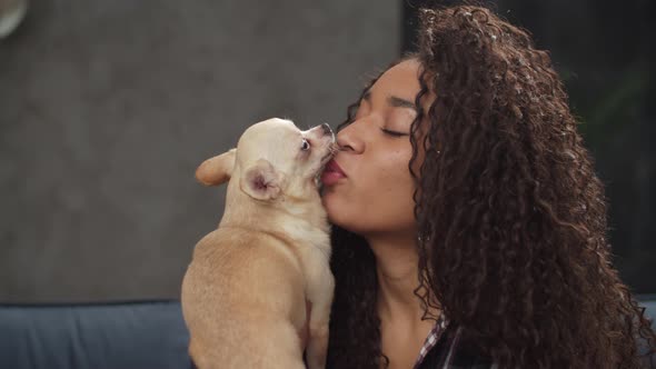 Loving Pet Owner Kissing Comely Chihuahua Dog Indoors