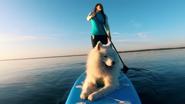 Girl and White Dog Supping Together on River.