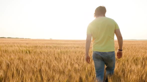 Farmer Working on Wheat Field