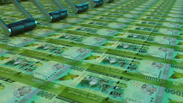 inflation Sri Lanka LKR RS 5000 currency money printing made bank exchange economics crisis