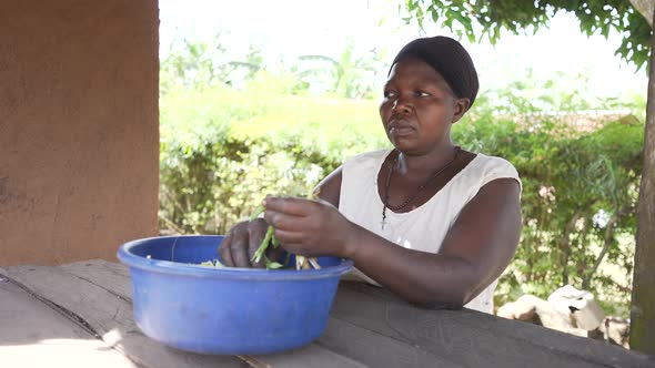 Local African black woman peeling, extracting and cooking red kidney beans. Preparing traditional Af