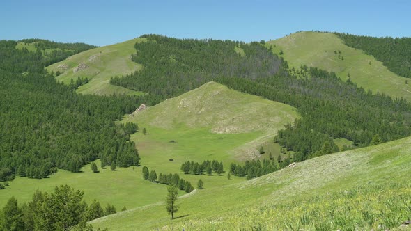 Green Meadows in The Sparsely Wooded Between Forest Covered Mountains