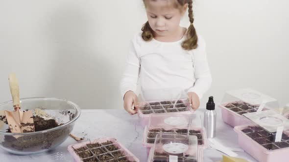 Little girl helping planting seeds in seed propagator with soil.