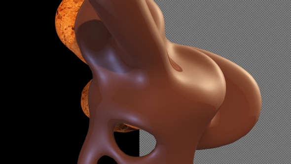 Chocolate Biscuit alt