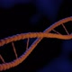 Macro Shot Of 3D DNA molecule endless loop - VideoHive Item for Sale