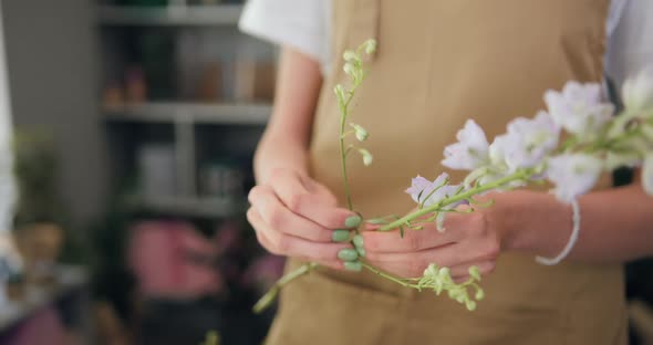 Hands Professional Florist Create a Beautiful Bouquet while Working in a Flower Shop.