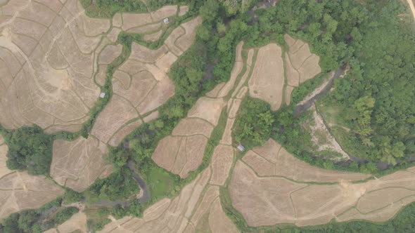 Aerial: flying over rice paddies unique valley scenic cliffs rock pinnacles tropical jungle stunning