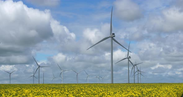 Field of rapeseed (Brassica napus)and wind turbines in the Region Beauce, northern France