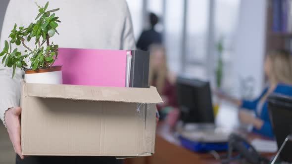 Closeup of Cardboard Box with Pot Flower and Document Folders in Male Hands with Blurred Office