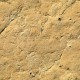 Clay Wall Texture - 3DOcean Item for Sale