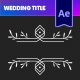 Wedding Titles - VideoHive Item for Sale