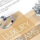 Commercial Flyer: Luxury Items - GraphicRiver Item for Sale