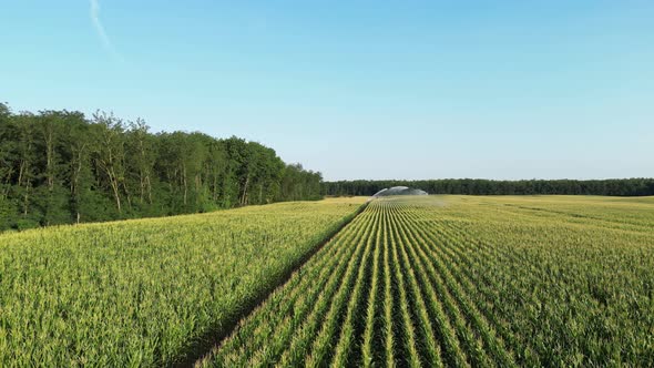 Agricultural Irrigation System