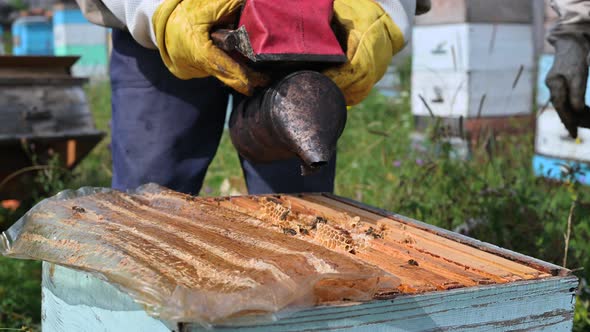 Beekeeping, an Elderly Man in Protective Outfit Fumigates Bees Removes Honeycombs From Hives To