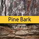 Pine Bark Surfaces Texture Backgrounds - GraphicRiver Item for Sale