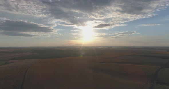 Aerial shot of crops