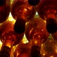 Rows of backlit wine bottles in winery cellar - VideoHive Item for Sale