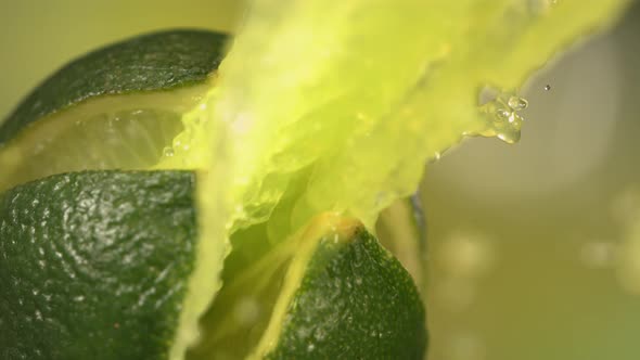 Fresh Lime Fruit Squirting with Juice in Slow Motion in Green Nature Background