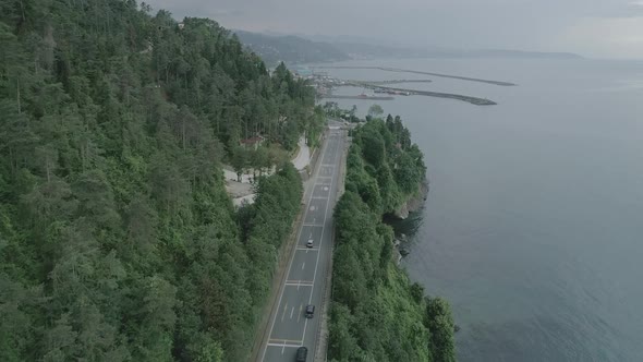 Highway And Forest, Sea