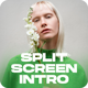 Split Screen Intro - Multiscreen Slideshow - VideoHive Item for Sale