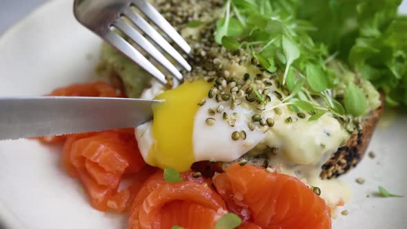 Toast with Poached Egg and Trout Seasoned with Microgreen