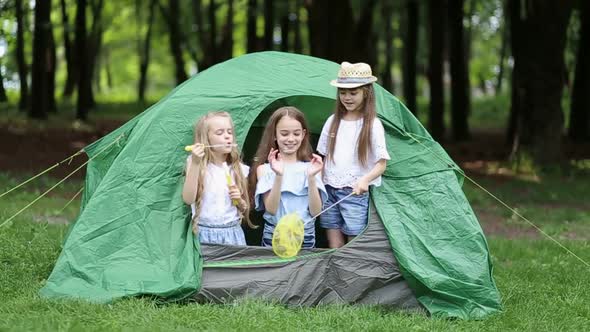 Happy kids at the picnic near the fire