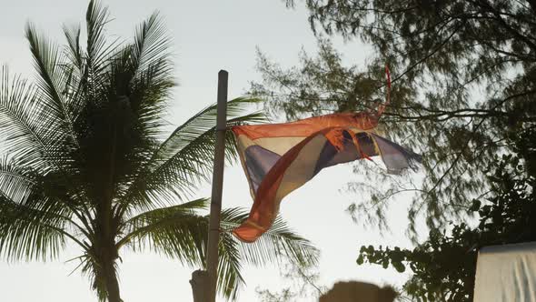 Tattered Thailand Flag Waving Among Trees