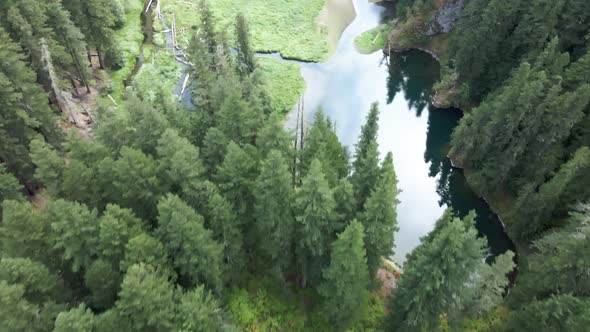 Pan up slowly revealing an unspoiled mountain lake surrounded by pristine evergreen forest, aerial