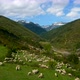 Sheep Grazing On The Mountain 4 - VideoHive Item for Sale