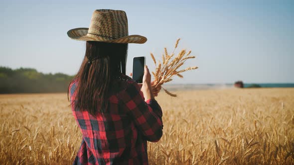 Young Woman Farmer in Hat Standing Against the Background of a Working Combine Harvester at Sunset