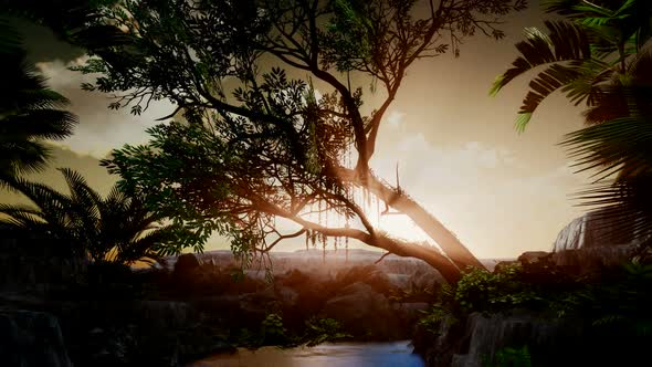 Sunset Beams Through Palm Trees alt