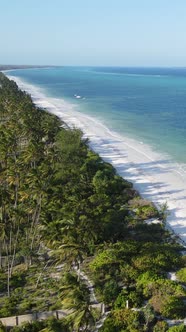 Zanzibar Tanzania  Ocean Shore Covered with Green Thickets Vertical Video