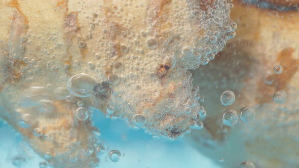 Ginger Close Up in the Water Underwater Macro Selective Focus