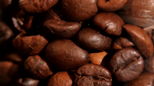 Lot of Roasted Coffee Beans, Rotation