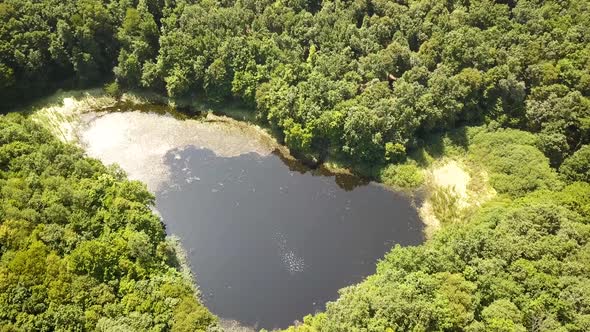 Aerial view of a small forest lake in the middle of green dense woods in summer.