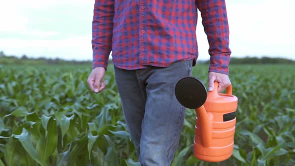 The farmer uses a watering can to water the plants and increase growth. Agricultural concepts