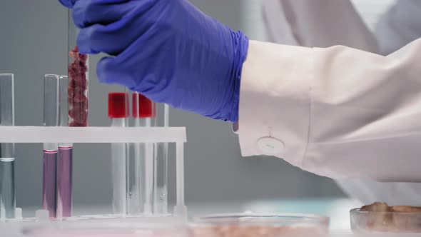 Test Tube With Lab-Grown Meat Sample In Tripod