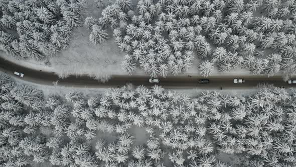 Aerial View of Cars Driving on the Road Through Frozen and Covered with Snow Pine or Spruce Forest