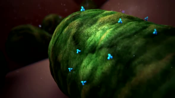 Bacteria- destroying cell animation video