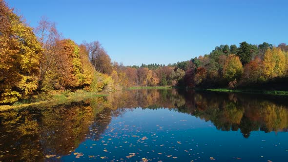 Colorful Autumn Forest Wood on the Lake