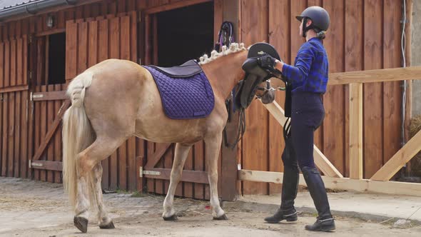 Young Competitive Woman Saddling Up Her Horse In A Stable For The Competition