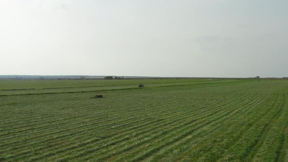 Aerial View Tractor Removes Grass From the Field